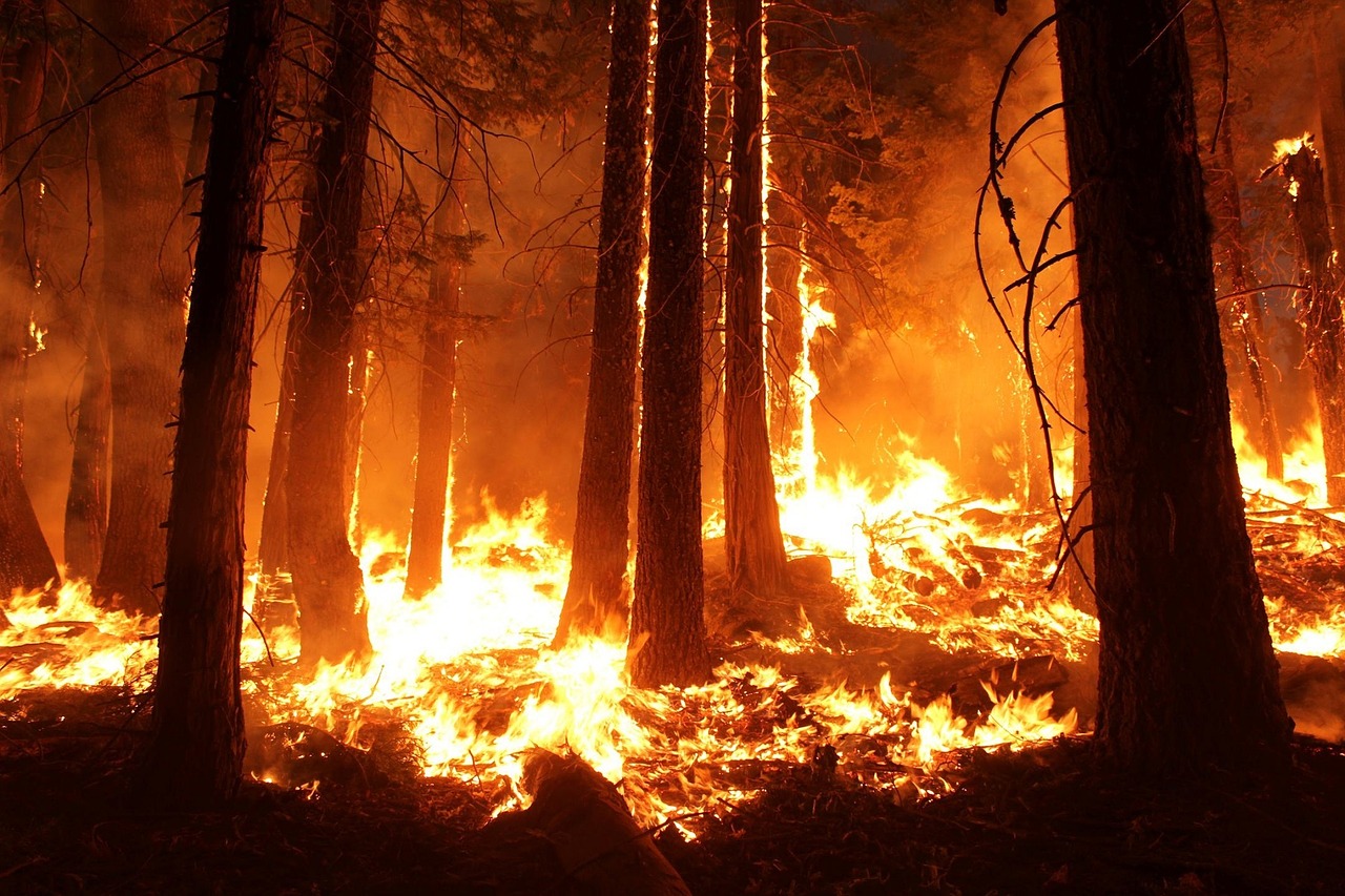 В Бурятии лесные пожары начнутся уже с апреля 