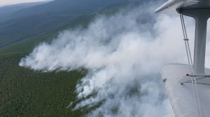 В Бурятии удалось потушить пять лесных пожаров