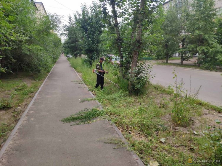 На кошение травы в Улан-Удэ выделят дополнительное финансирование На кошение травы в Улан-Удэ выделят дополнительное финансирование