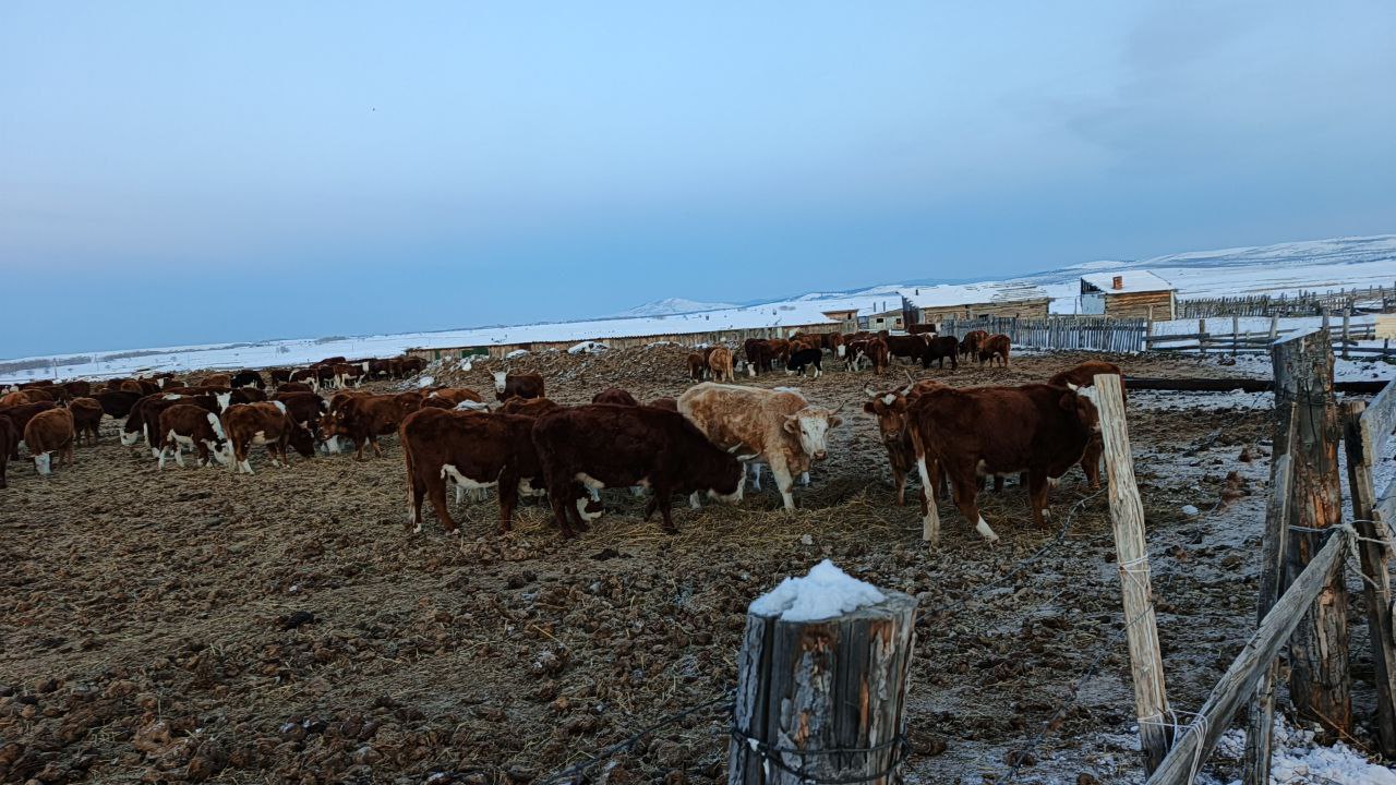 � ������ � ������� ��������� ����� ����������� ����� �� 12% 