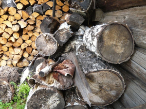 В Бурятии кубометр дров можно купить по цене одной буузы
