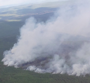 Жители Бурятии снова устроили пожар в лесу