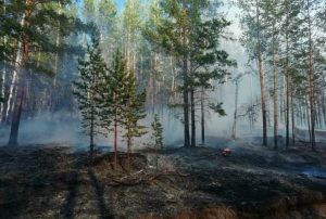 В Бурятии продолжают гореть леса из-за сухих гроз