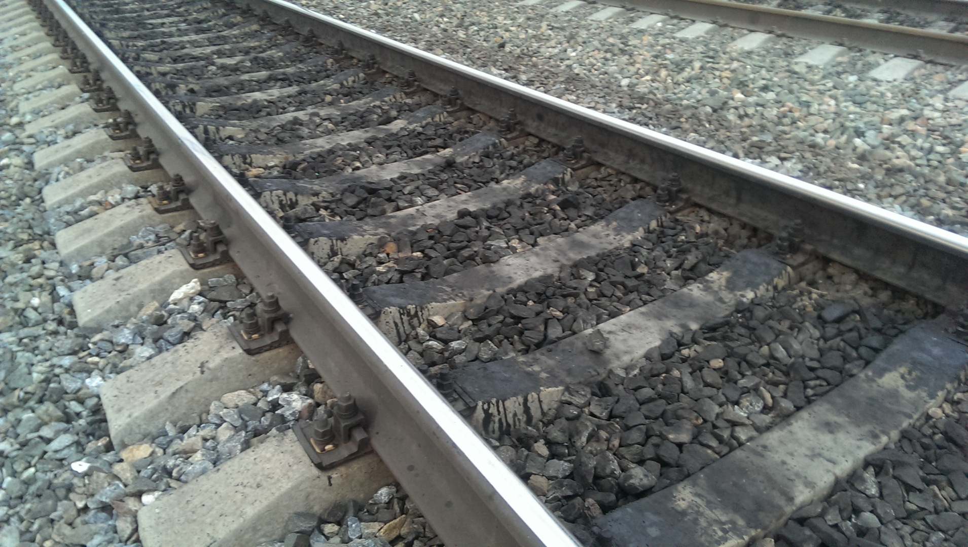 ������ ���������� ������� ���� ��������� � ����������� �� ������� ������