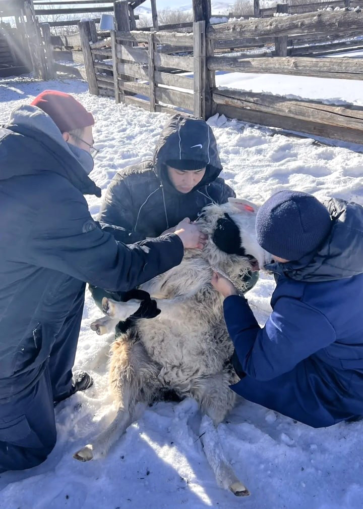 � ������� ��������� ������ ��� ��������� ������������� ��������� � �����������