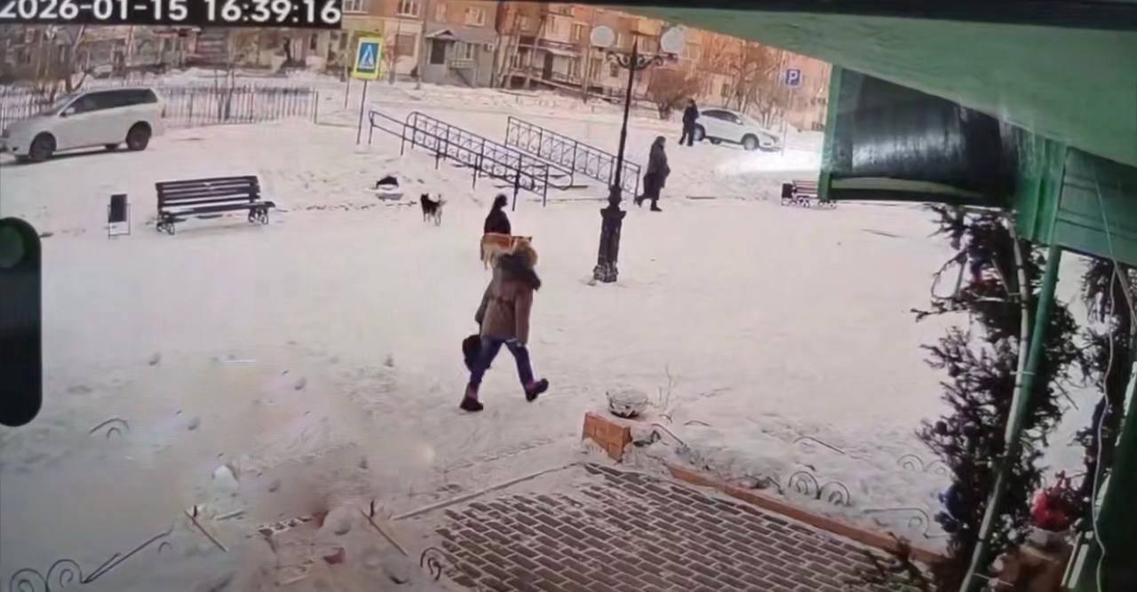 ���������� ����� �� ������� � ������������� ���������������� ����������� 