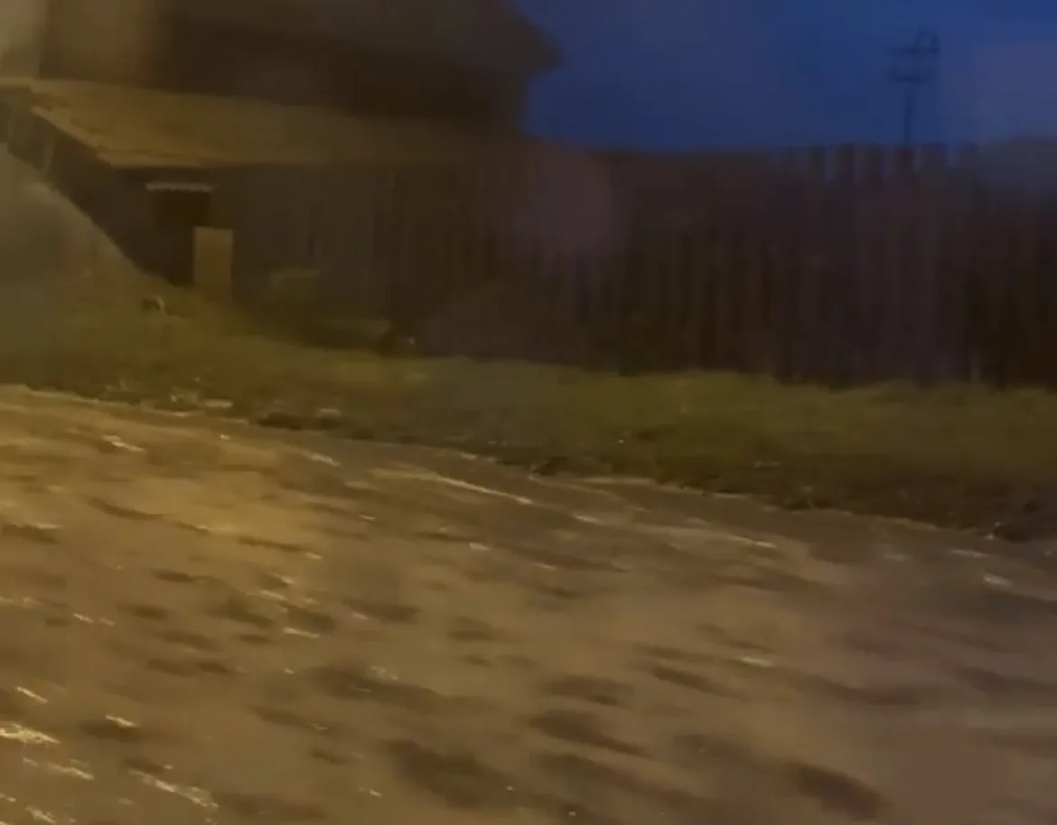 � ����� ������� �������� ����� ������� ������