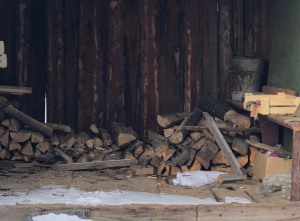 У экс-советника главы Бурятии украли дрова