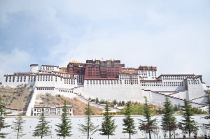 Алексей Цыденов предложил создать в Бурятии совместный с Тибетским автономным районом КНР центр по традиционной медицине