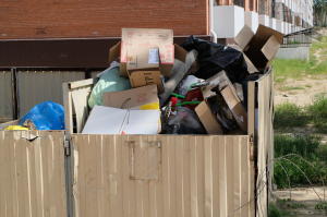 Мэр Улан-Удэ поручил оперативно отрабатывать все жалобы по вывозу мусора
