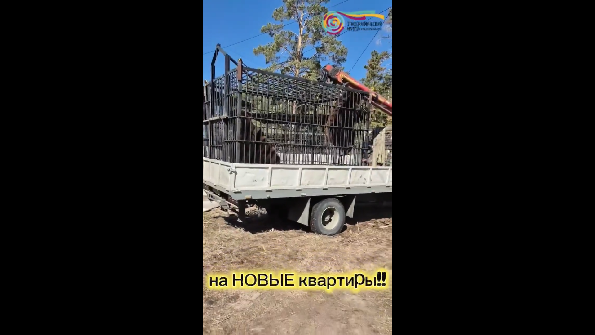 � ����-��� ����� � �������� ��������� � ����� ����