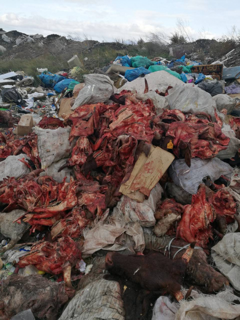 Фото дня: на свалке в Улан-Удэ образовалось "кладбище"