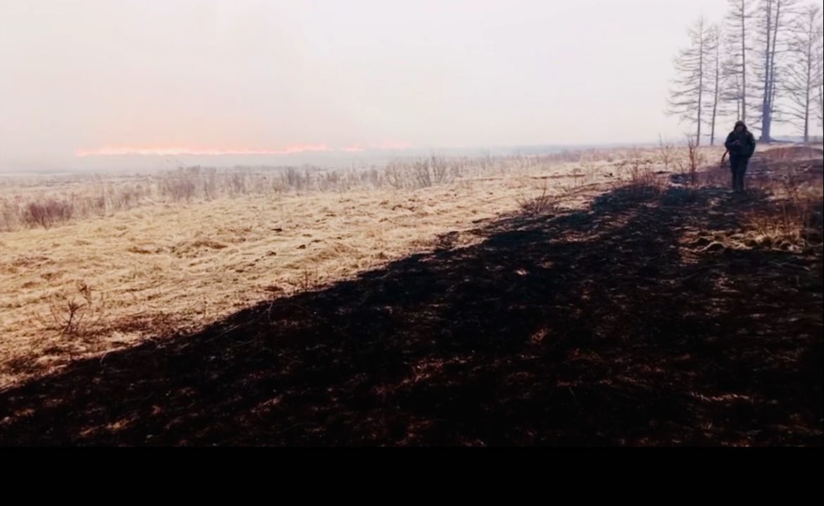 ������� ������� ��������� � ������ �������������� ������