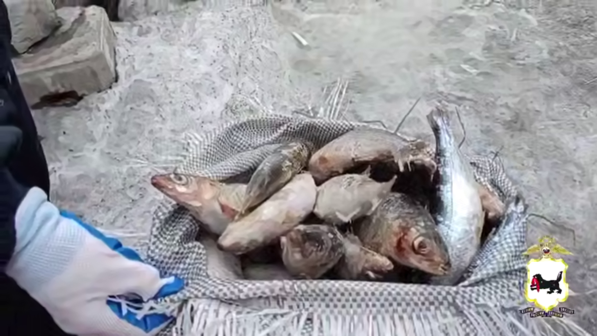 � ���������� ������� ������ ������� � ������ ����� �� 10 ���������