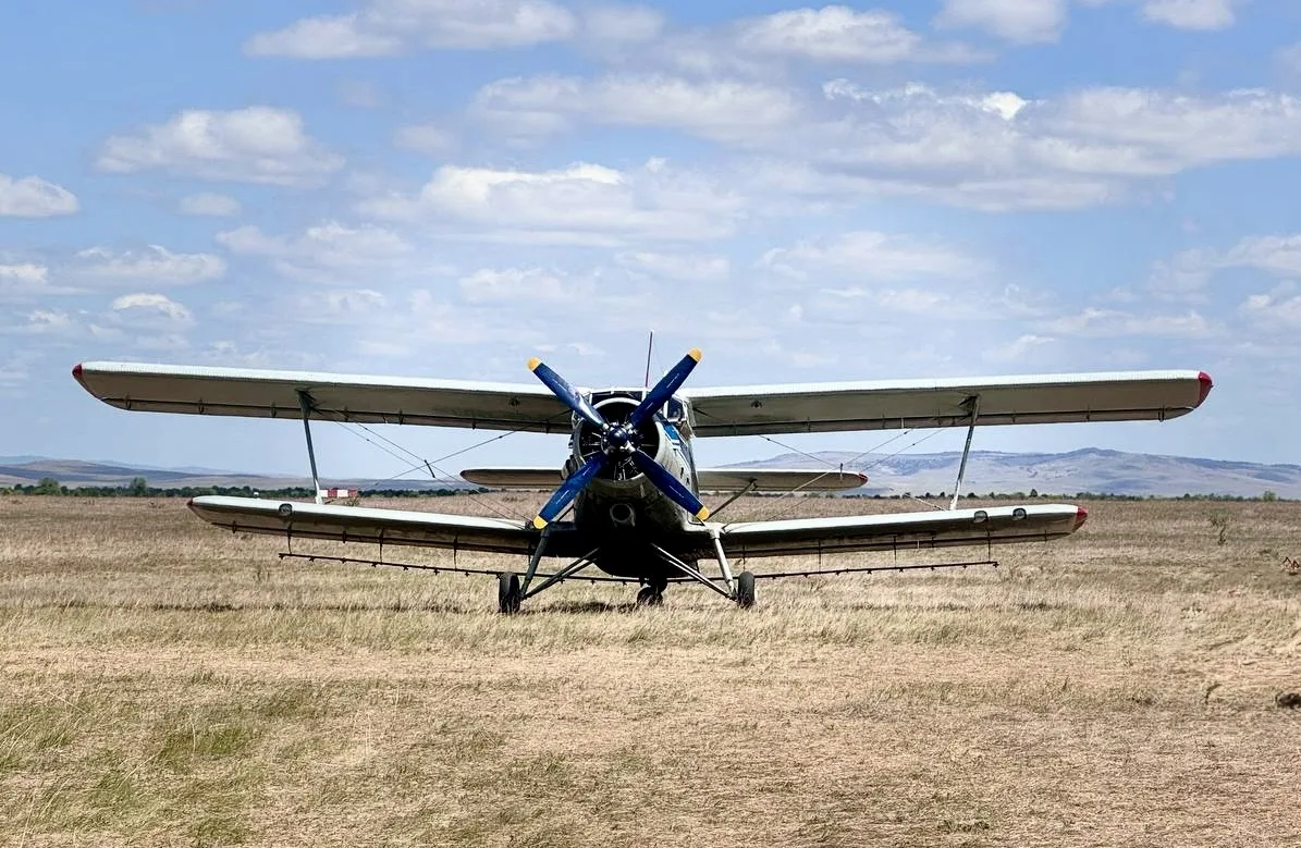 ������� �������� ������������� ��������� ��� ������ �������