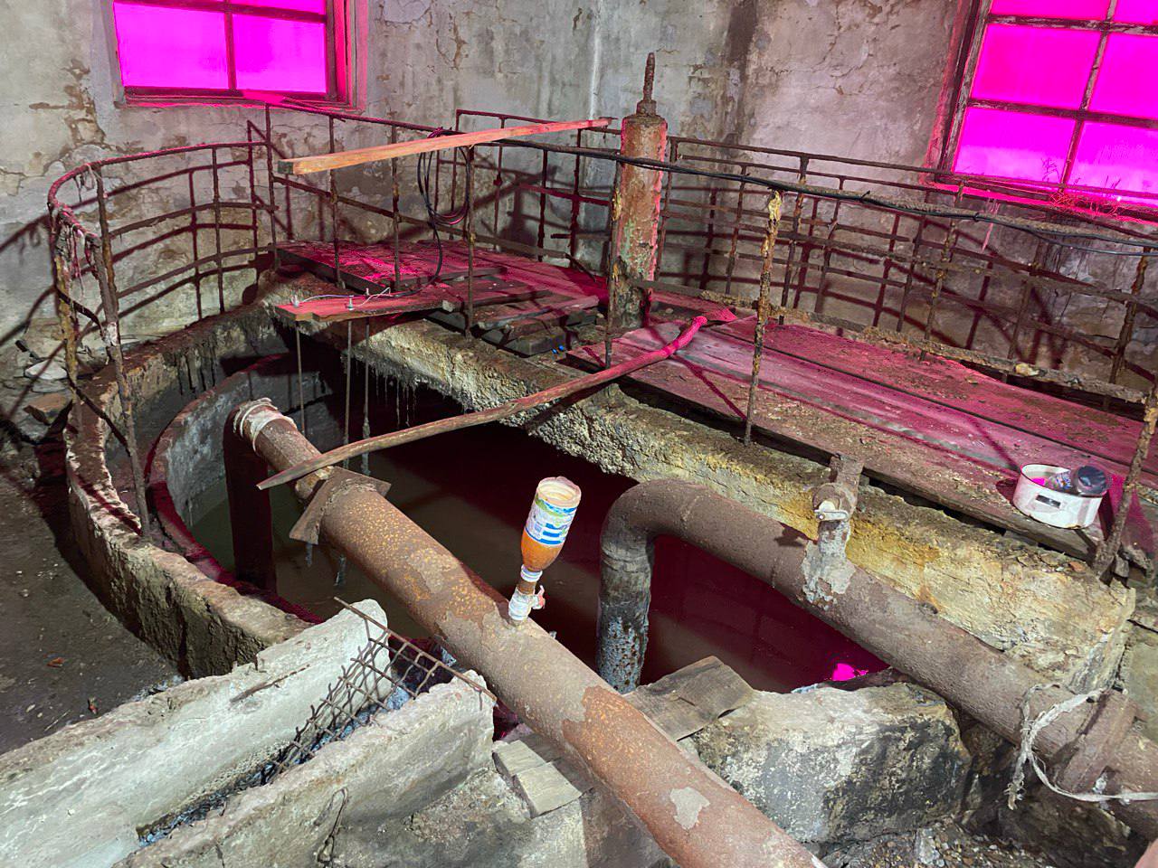 �� ���-���������� ���� ������� ������ ��� ���� ���������