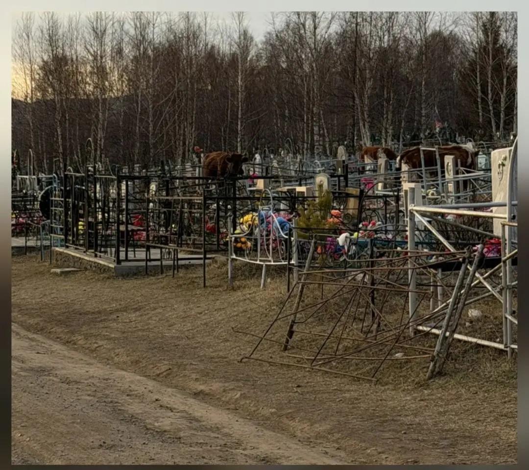 � ������� ������ ������ �� ������������ ����