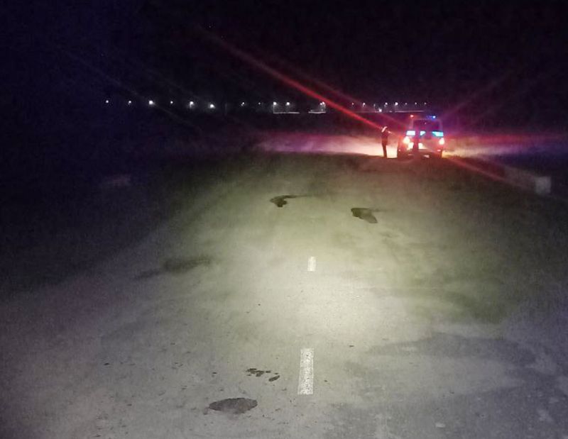 В Бурятии подросток на мопеде врезался в корову В Бурятии подросток на мопеде врезался в корову
