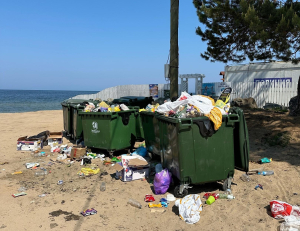 Жители Бурятии жалуются на мусор на пляжах и коров, гуляющих по Байкалу