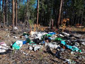 Ликвидация свалки в районе Бурятии вынудила бизнес вываливать мусор в лес 