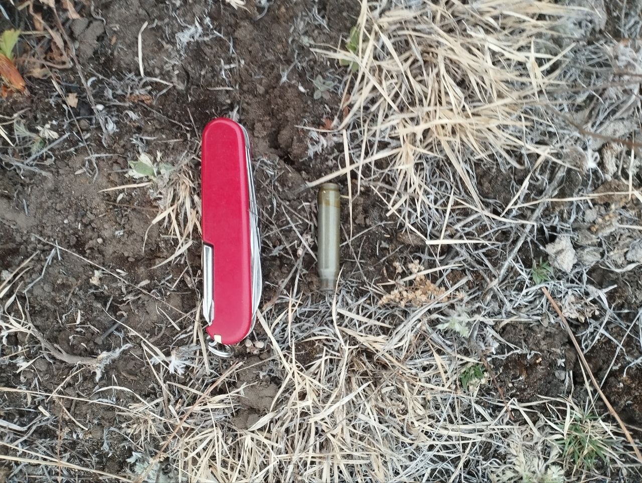 � ����������� ��������� � ������� ��������� ��������� ���� ����������