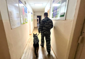 В Улан-Удэ собака раскрыла убийство