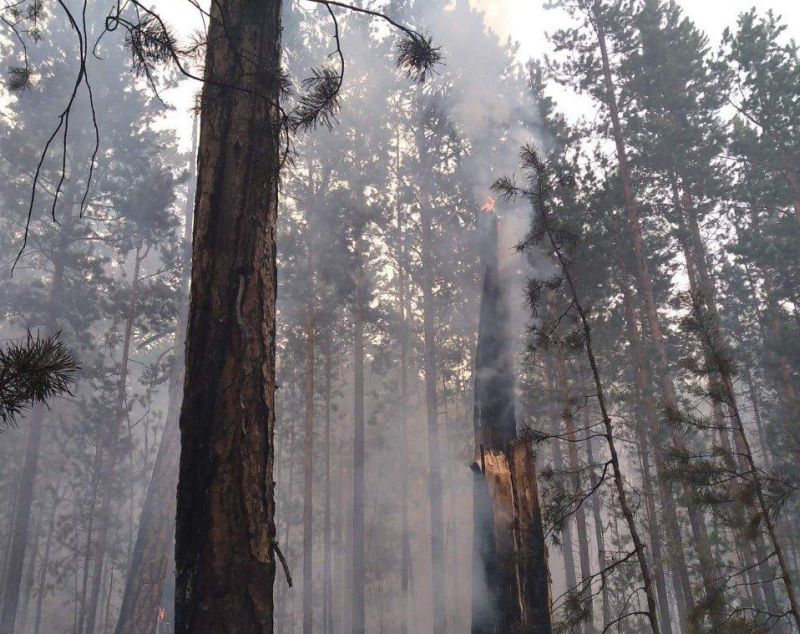 Три лесных пожара возникли в Бурятии из-за сухих гроз