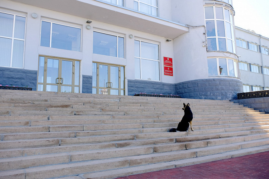 Экс-чиновника мэрии Улан-Удэ оправдали по «собачьему делу»