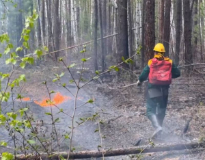 В Бурятии тушат три крупных лесных пожара