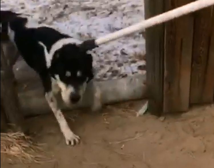  -   ,      