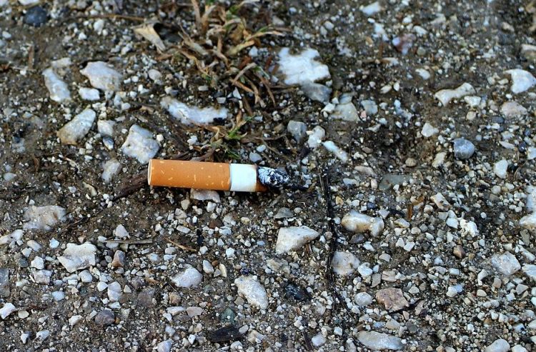 В Бурятии вора нашли по брошенному окурку В Бурятии вора нашли по брошенному окурку