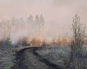 В Бурятии тушат два лесных пожара в Баргузинском районе