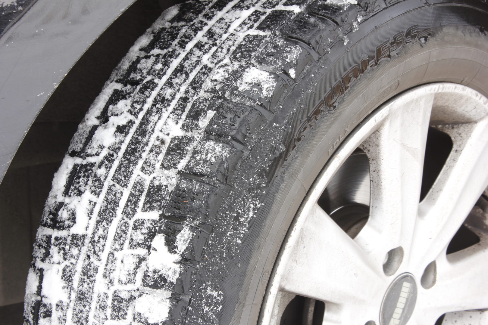 � ������� � ��� ����� �������� "�����"