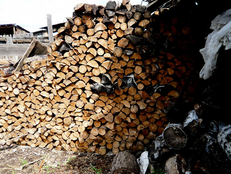 Лесники Бурятии призывают подготовить дрова заранее 