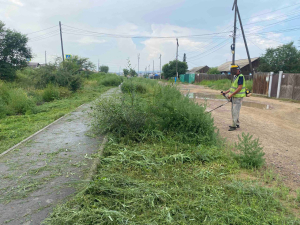 В Улан-Удэ скосили более 2,5 млн квадратных метров травы