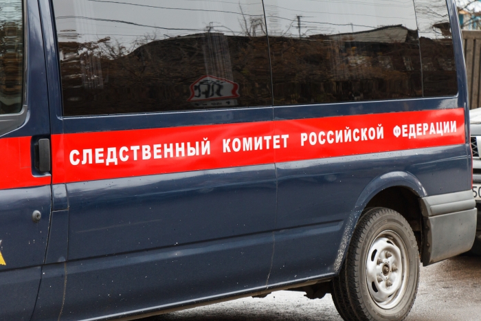 Разорванный собаками ребенок в Бурятии мог быть еще живым Разорванный собаками ребенок в Бурятии мог быть еще живым