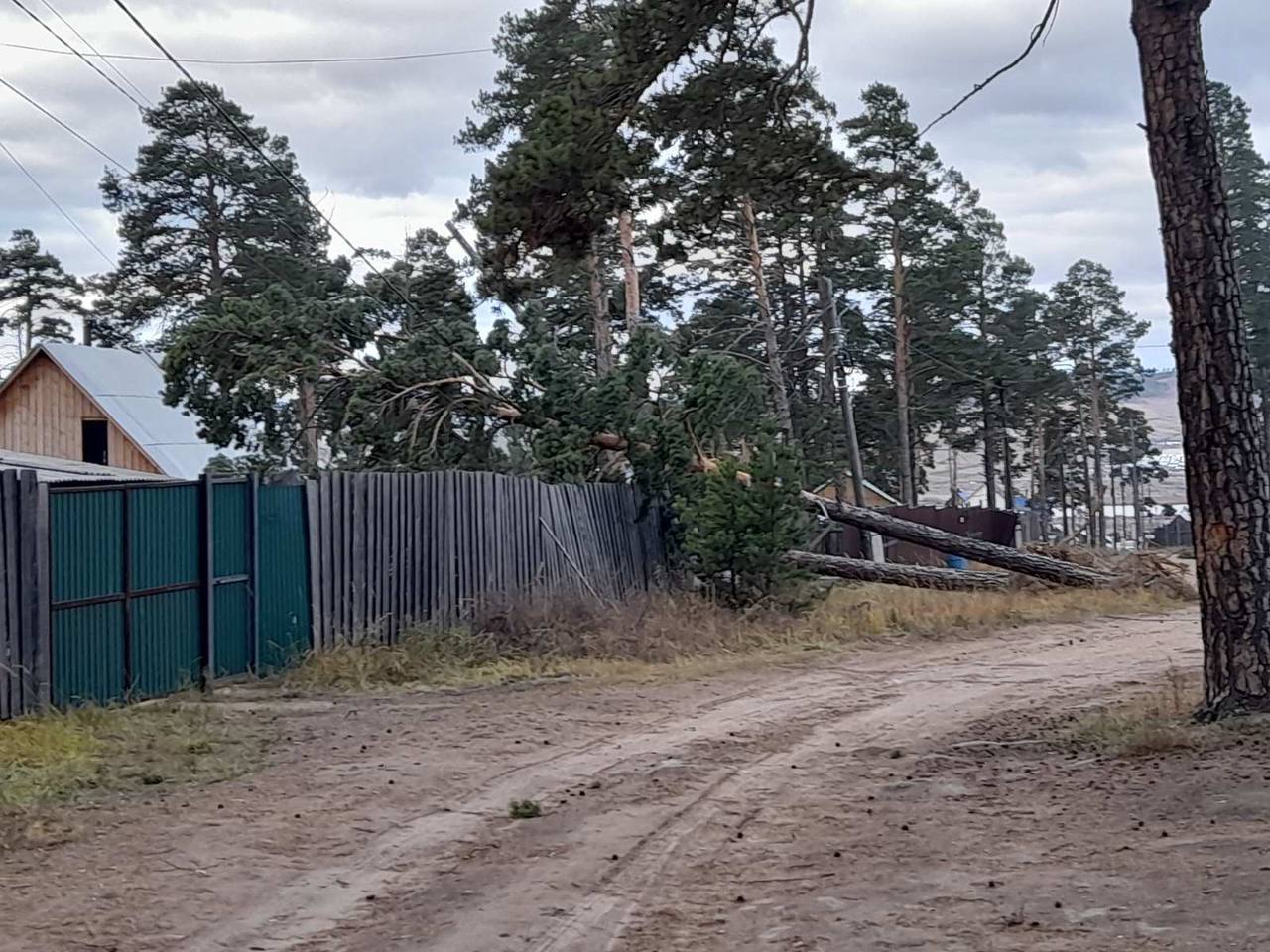 Жители Улан-Удэ жалуются на упавшие из-за сильного ветра деревья