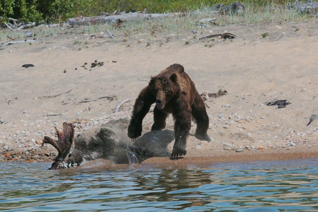 � ������� ������� ������� ���� �� �������