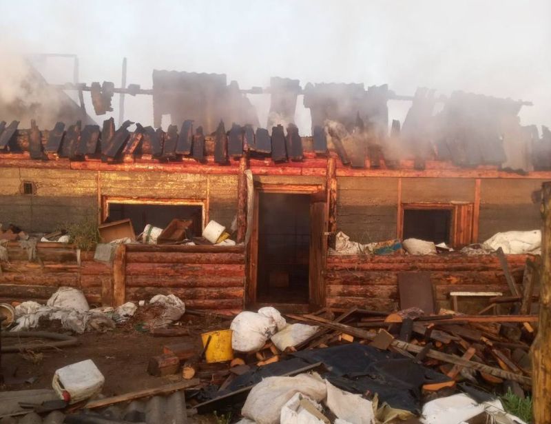 В Бурятии на пожаре погибли 10 свиней и 60 куриц В Бурятии на пожаре погибли 10 свиней и 60 куриц
