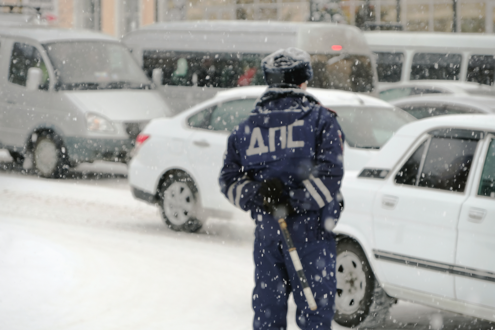 ���������������� ������ ���� ����� ����� ������