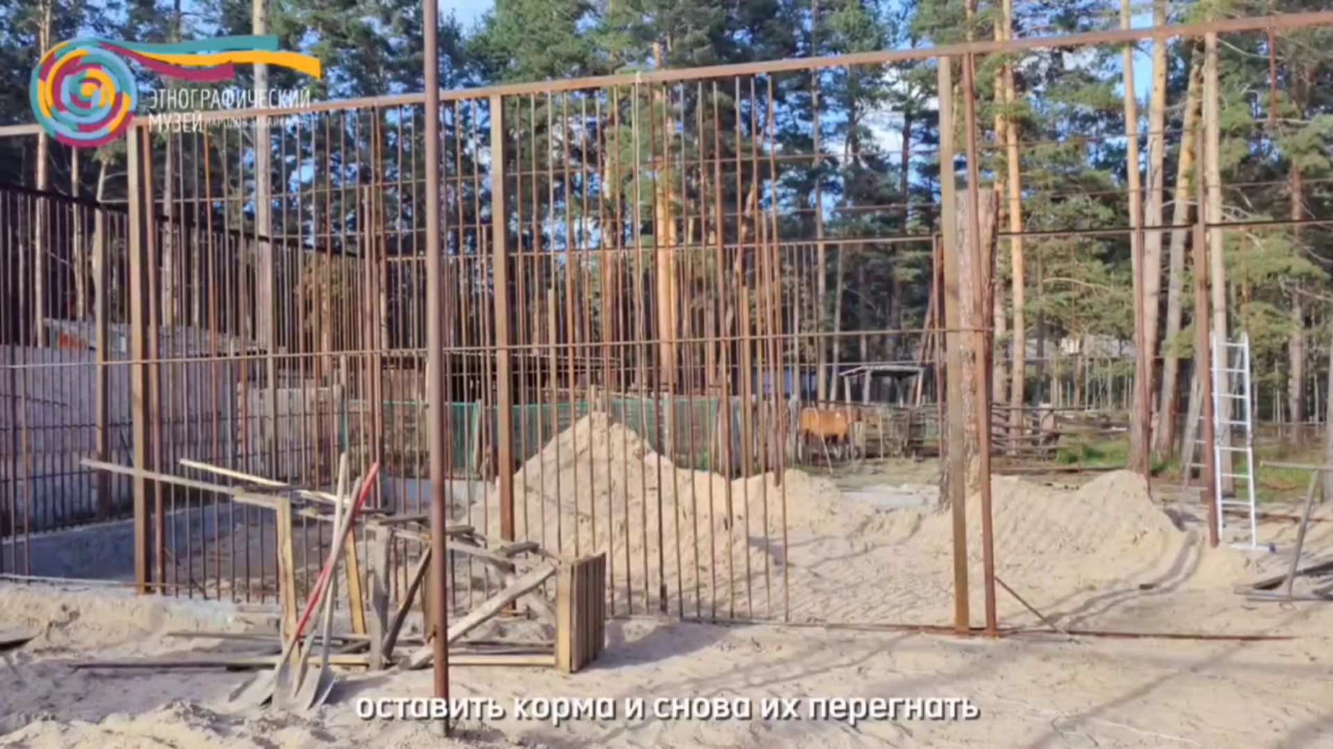 � ����-��� ������ ����� ��� ��� ������ � ��������