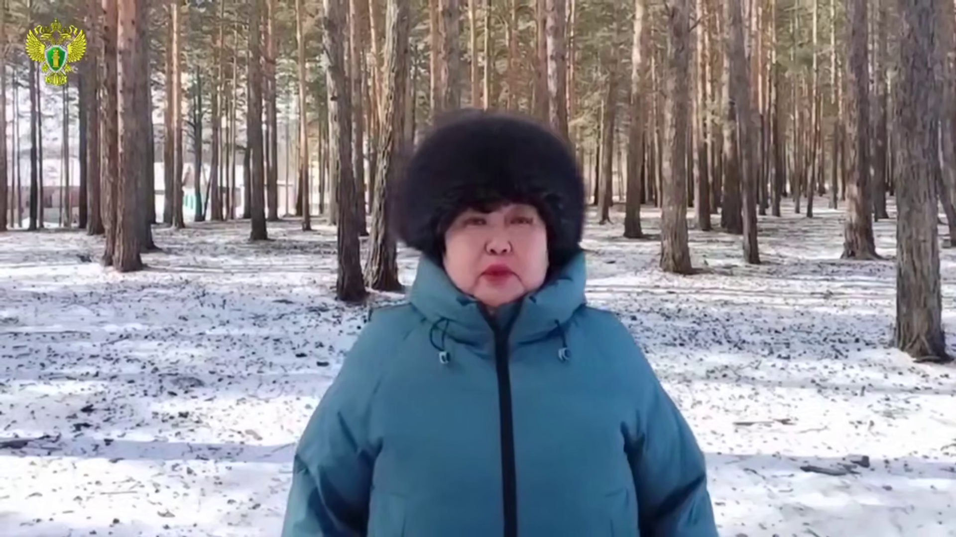 � ������� �������� �������� ���