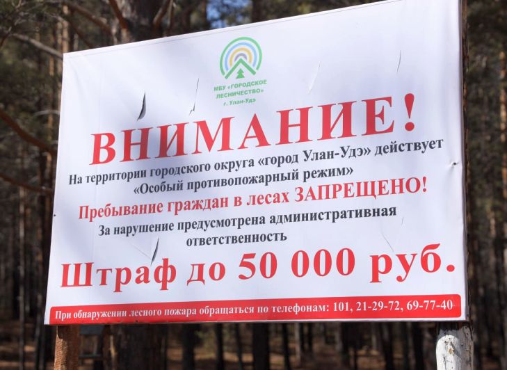 В Улан-Удэ снова продлили запрет на посещение лесов В Улан-Удэ снова продлили запрет на посещение лесов