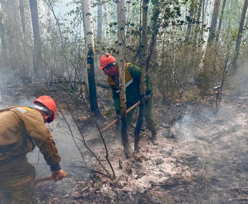 В Бурятии выросло число лесных пожаров В Бурятии выросло число лесных пожаров