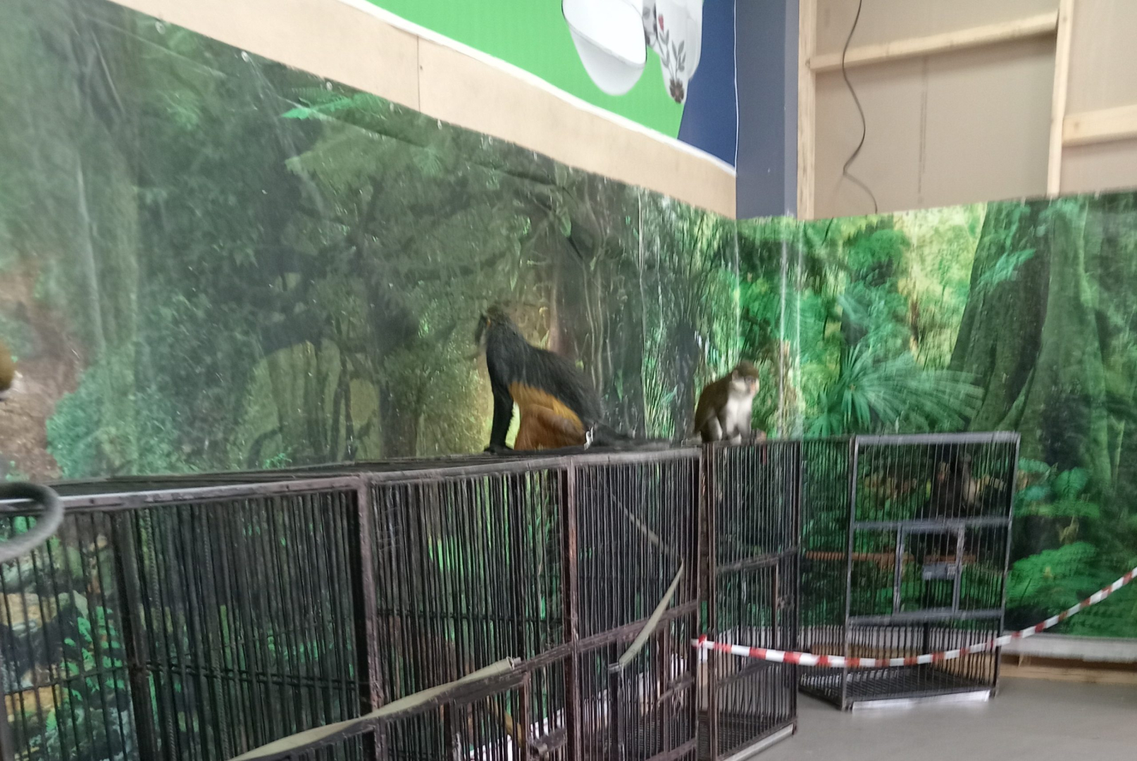 ����-������� ����������� ���������� � ���������� �������� � ��������