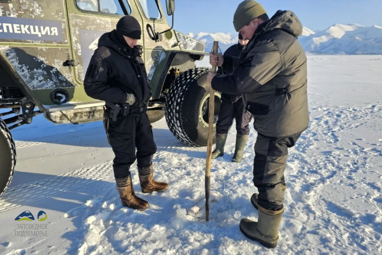 ��������� ������ ����� � ������� ������ �� ���� ��� ������� �������