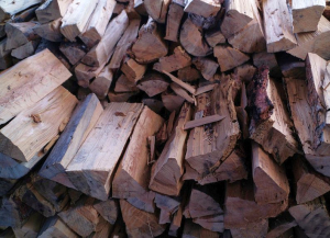 Жителям Бурятии объяснили, как заготовить дрова