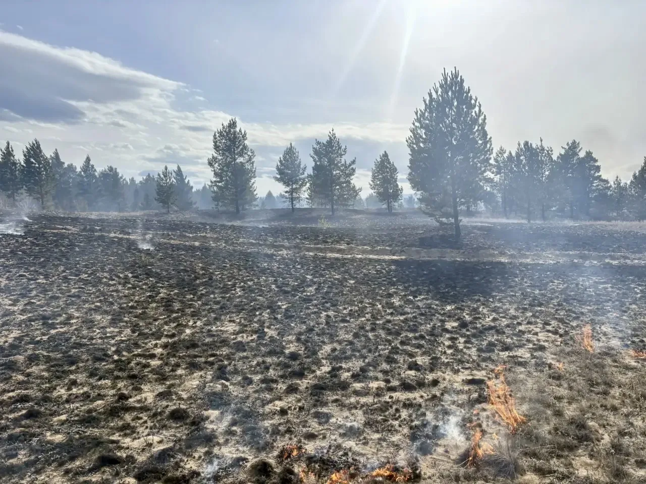 � ������� ����� �� ���� �������� ������ ����� � ����������� ������