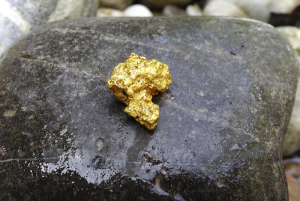 У жителя Бурятии отобрали килограмм незаконно добытого золота