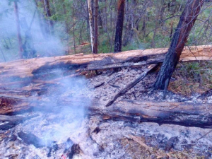 В Бурятии тушат один лесной пожар